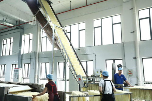 柳江區(qū) 精準創(chuàng)新雙輪驅(qū)動，食藥產(chǎn)業(yè)強音奏響技術(shù)服務新篇章